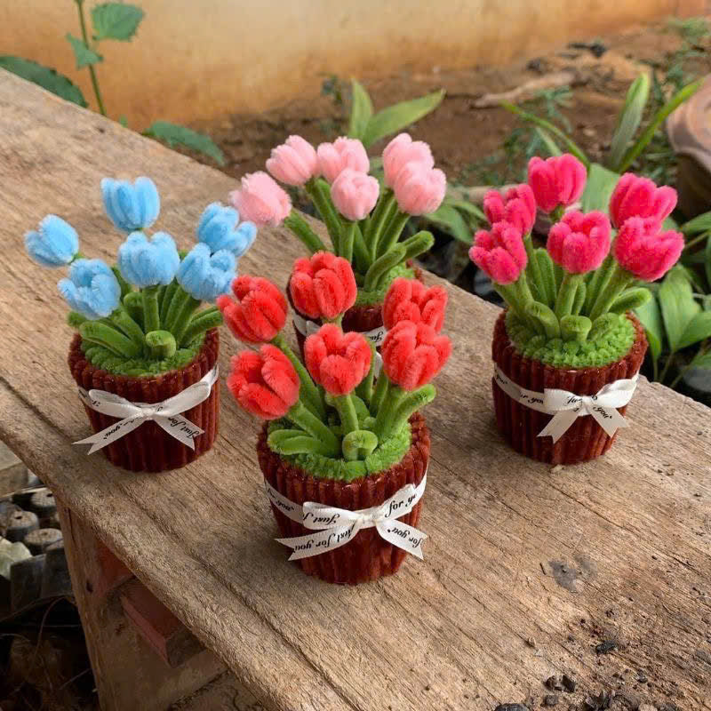 Chậu Hoa Tulip Handmade Mini